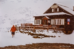 Österreich+Jugoslawien 1980